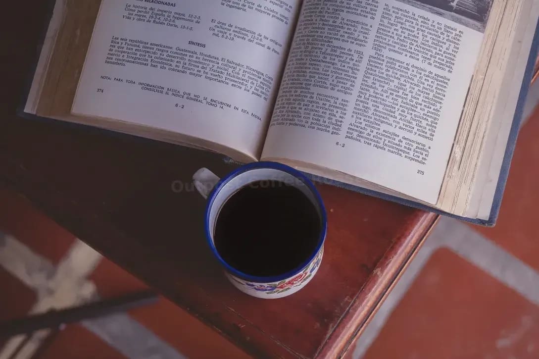 Behind the Bar: How We Train for a Better Café Experience